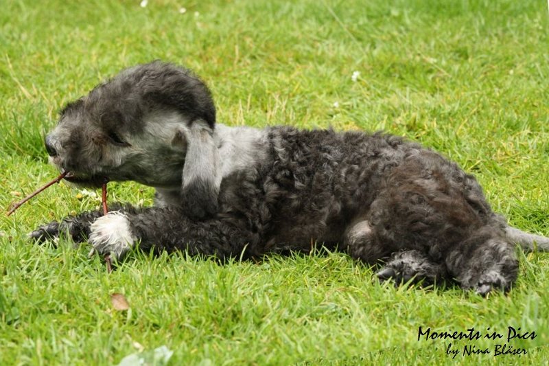 Antares 2009-07-12 (41).JPG